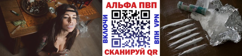 Альфа ПВП СК Каменногорск