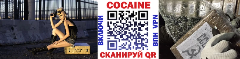 Купить закладки Каменногорск Кокаин Fish Scale