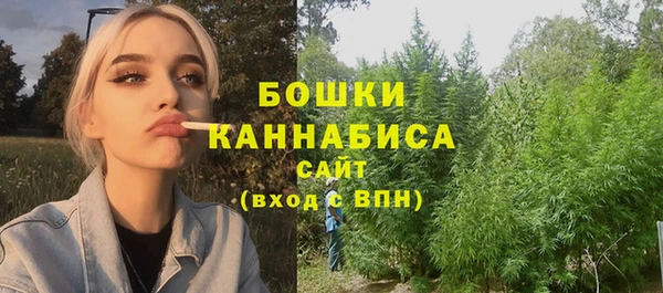 молекула духа Сафоново